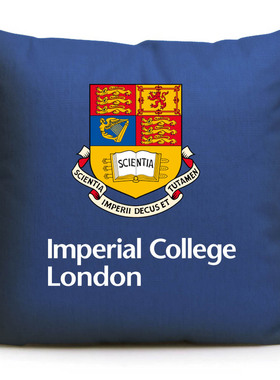 Imperial College London英国伦敦帝国理工学院纪念品周边抱枕
