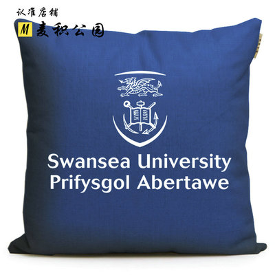 斯旺西大学金Swansea纪念品斯特林大学Stirling周边沙发靠垫抱枕
