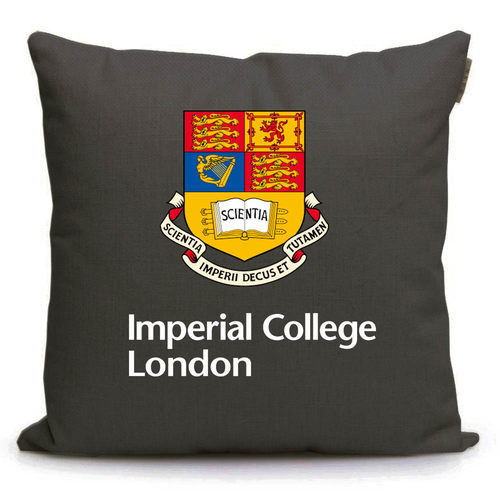 速发伦敦国理工学院Imperi ege Lodo纪念品抱枕