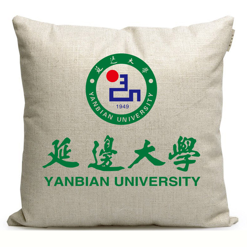 延边大学周边纪念品定制礼品沙发抱枕靠背靠垫午休靠枕