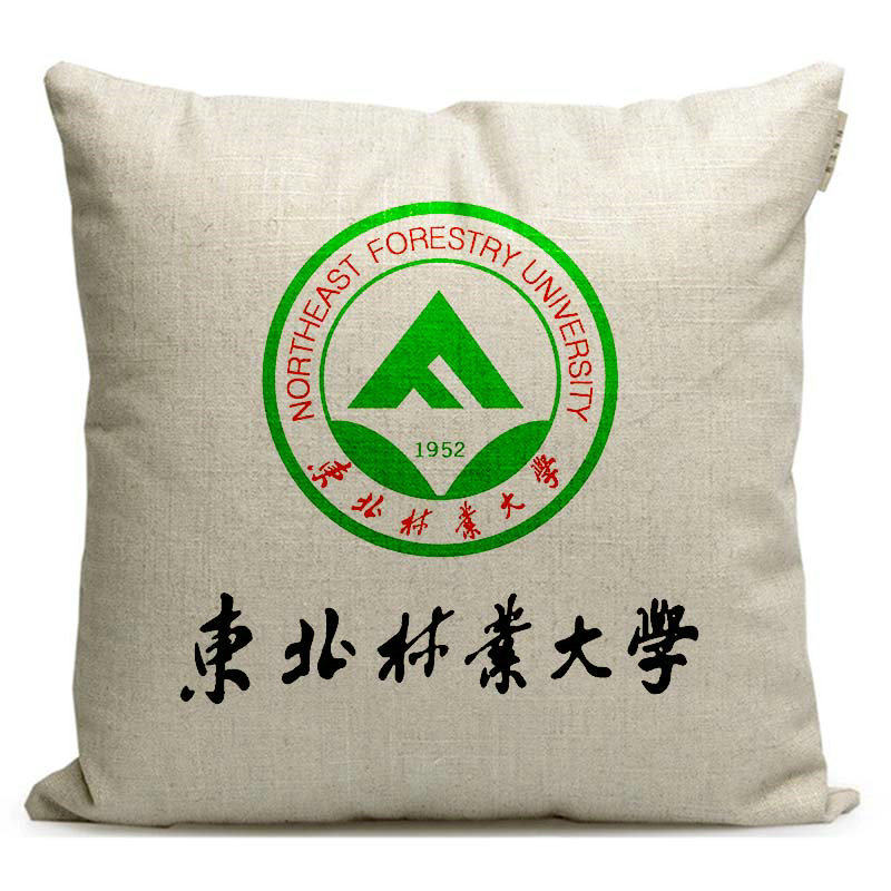 东北林业大学纪念品周边定制礼品学生午休枕头座椅靠垫沙发抱枕