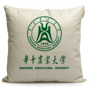 华中农业大学定制纪念品学生座椅靠枕周边抱枕校徽文创礼品枕头