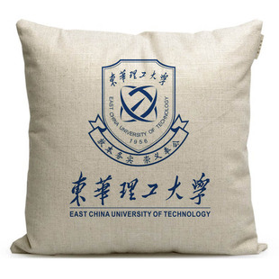 东华大学纪念品抱枕定制校徽文创礼品枕头同学聚会周边靠枕