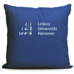 汉诺威大学周边世界名校纪念品靠枕头Universität Hannover抱枕