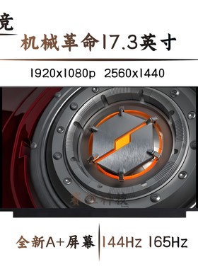 机械革命 X9Ti 钛坦PLUS7 蛟龙7 7E 泰坦X10Ti x3 X8 笔记本屏幕