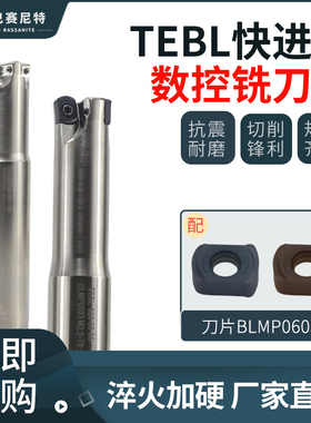 TEBL06快进给铣刀杆 BLMP0603双面四刃刀片 特固克通装刀杆/刀盘