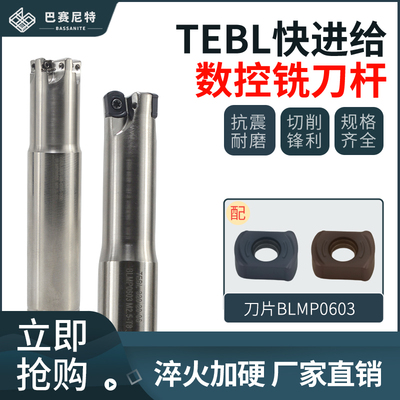 TEBL06快进给铣刀杆特固克通装