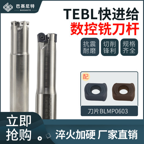 TEBL06快进给铣刀杆特固克通装