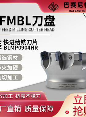 TFMBL快进给重切削数控铣刀盘BLMP0904R刀片与特固克通装非标定制