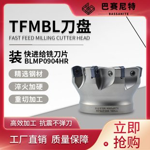 TFMBL快进给重切削数控铣刀盘BLMP0904R刀片与特固克通装非标定制