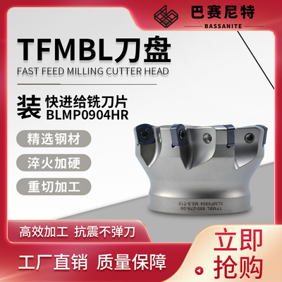 TFMBL快进给重切削数控铣刀盘