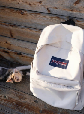 美国JanSport双肩包15寸电脑男书包女背包26L容量初雪黑武士新款