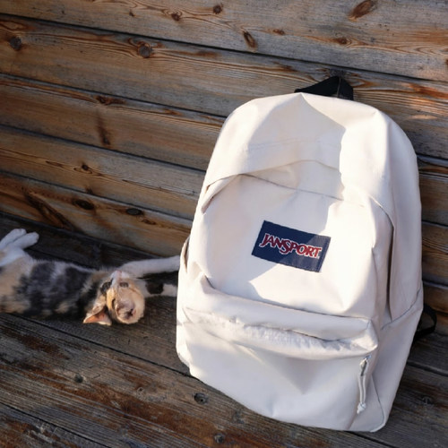 Jansport新款大容量双肩包书包