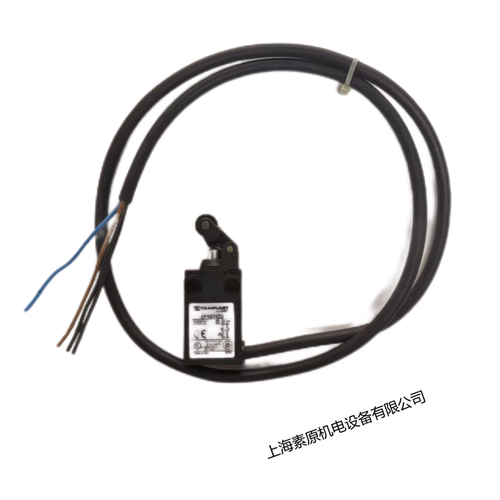 Comepi意大利原装进口限位开关EP1G31ZU