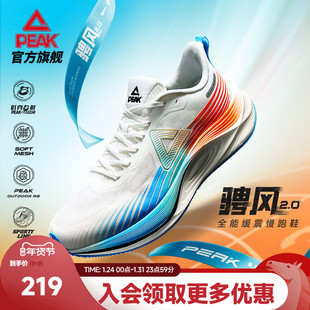 匹克态极骋风2.0跑步鞋男女减震耐磨鞋子青少年运动鞋男款训练鞋