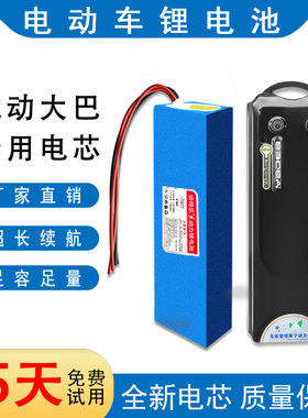 骑得乐48v10ah雅迪电动自行车替换装锂电池 电动车电瓶