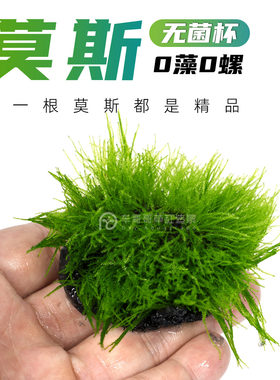 3杯送1杯无菌杯莫斯0藻0螺