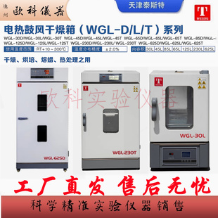 泰斯特WGL-30D电热鼓风干燥箱45L-65T-85D-125D烘焙热处理高温箱