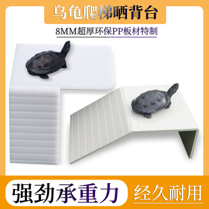 龟箱专用爬梯晒背台乌龟爬坡休息平台草龟爬台晒台陆龟泡澡盆水盆