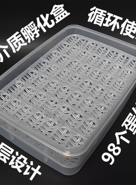 龟蛋孵化盒无介质孵化盒乌龟孵化盒南石乌龟孵化爬宠万能孵化盒