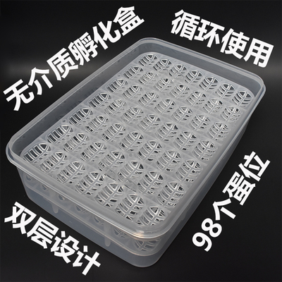 龟蛋孵化盒无介质乌龟万能爬宠