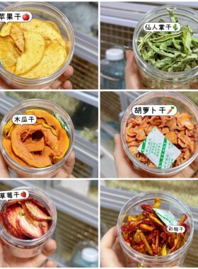 【下单现做】自制仓鼠荷兰猪