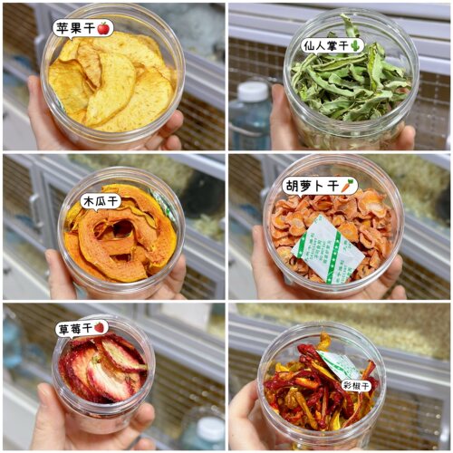 【下单现做】自制仓鼠荷兰猪