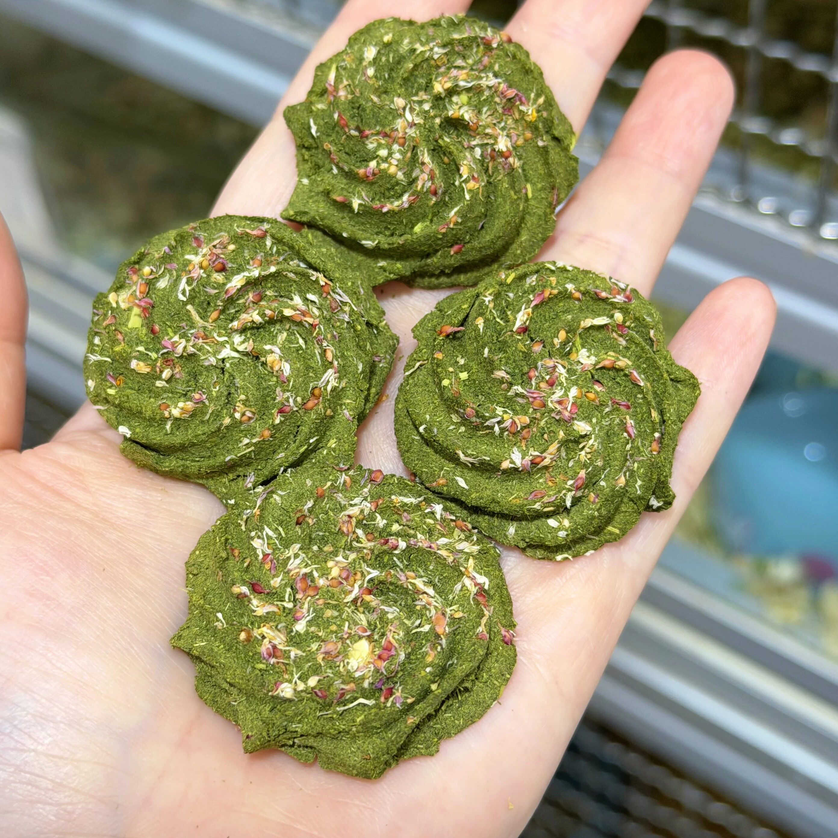 1件包邮 无花果草饼 高营养孕兔兔龙猫豚鼠仓鼠磨牙小零食草饼6枚