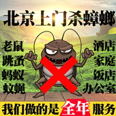 北京上门杀蟑螂除虫杀灭鼠环保公司灭蟑螂除四害蚂蚁跳蚤臭虫蚊蝇