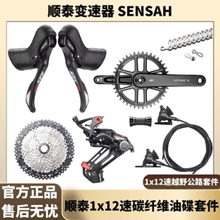 SENSAH顺泰油碟碳纤维SRX PRO 1X12速变速器套件手变后拨夹器大套
