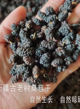 2025年新疆无硫古老树野生养生桑椹干泡水泡酒泡茶自然晾晒不染色