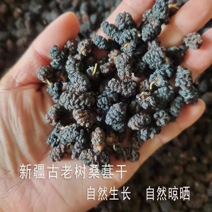 2026年新疆无硫古老树野生养生桑椹干泡水泡酒泡茶自然晾晒不染色