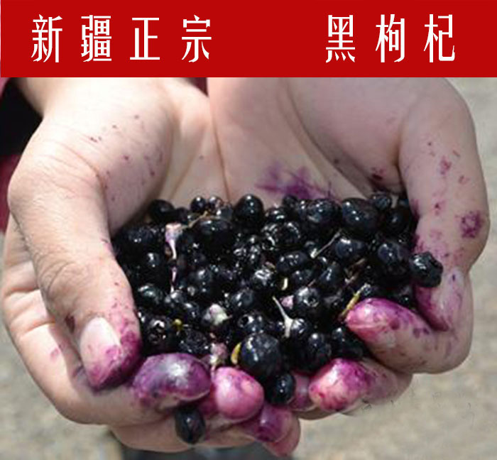 新疆特产精选自然干免洗罐装黑枸杞王非宁夏枸杞滋补佳品100g包邮