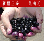 包邮 新疆特产精选自然干免洗罐装 黑枸杞王非宁夏枸杞滋补佳品100g