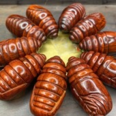 小叶紫檀蚕蛹木雕手摇可动蝉蛹东西南北可旋转按摩手把玩件茧蛹