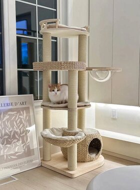 蜜罐猫爬架猫窝猫树一体 实木进口松木 夏季猫架玩具 210012