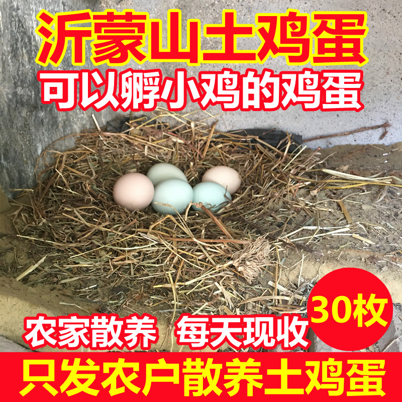 沂蒙山土鸡蛋农家散养新鲜30枚正宗土鸡蛋笨鸡蛋蒙山草鸡蛋月子蛋