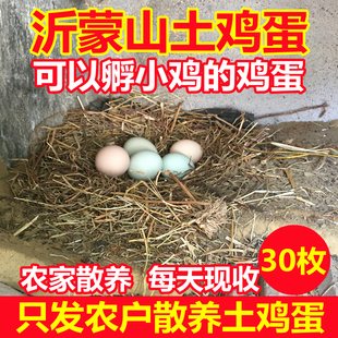 沂蒙山土鸡蛋农家散养新鲜30枚正宗土鸡蛋笨鸡蛋蒙山草鸡蛋月子蛋