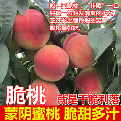 脆桃 山东蒙阴蜜桃脆甜桃子5斤红桃新鲜水果现摘现发应季农家脆桃