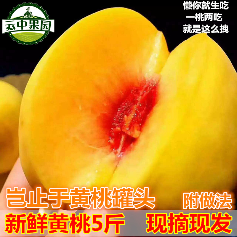 ÏÖ»õÐÂÏÊ»ÆÌÒÐÂÏÊË®¹ûÏÖÕªÏÖ·¢5½ïÌÒ×ÓÅ©¼Òµ±¼¾ÐÂÏÊ»ÆÃ«ÌÒ°üÓÊ