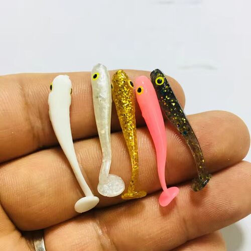 小软鱼红眼小翘嘴微物根钓小t尾