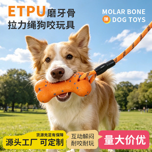 狗狗玩具ETPU咬不坏骨头磨牙中大型犬互动训练拉力绳结宠物玩具
