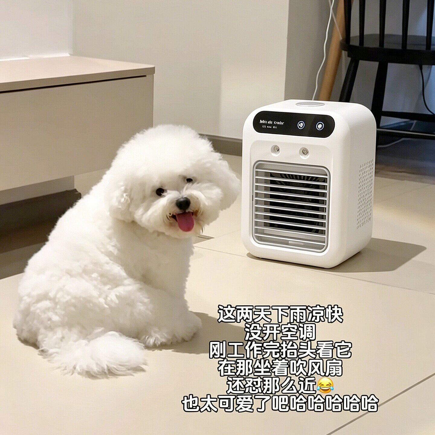宠物降温风扇迷你小型空调