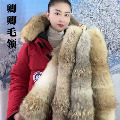 大鹅新版无毛款郊狼毛领单卖卿卿
