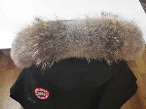 大鹅羽绒服郊狼毛领毛领单卖卿卿