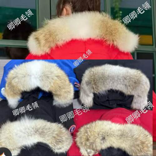 郊狼毛领大鹅羽绒服卿卿毛领