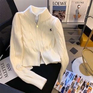 Korean stand up collar sweater jacket women autumn winter