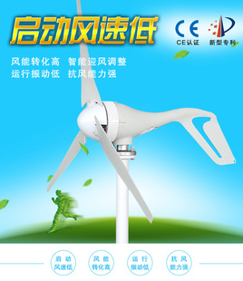 ce认证微风力发电机风光互补监控路灯传感器家用12V24V