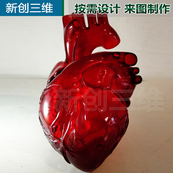 透明心脏左心房左心耳消融心脏病