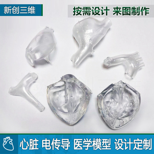可拆装透明心脏模型左心房左心耳心脏病消融手术医学定制教学教具